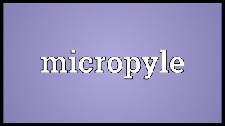 Micropyle Meaning [upl. by Eileek]