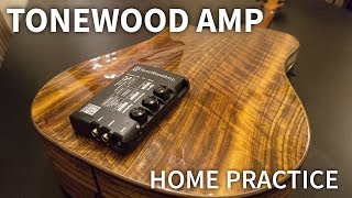 How does the TONEWOOD AMP impact practice at home [upl. by Stefano102]