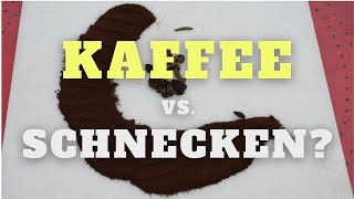 Wirkt Kaffeesatz gegen Nacktschnecken MiniExperiment [upl. by Nanahs]