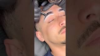 Brow Tint  Men’s Brow Tint explore viralvideo youtubeshorts brows browtint beauty [upl. by Arodoeht799]