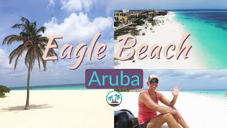 ARUBA’S BEST BEACHES Eagle Beach [upl. by Lehcir317]