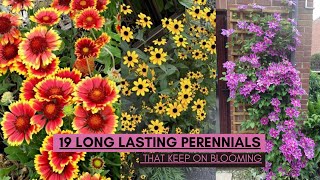 19 Long Lasting Perennials That Keep on Blooming [upl. by Mirielle]