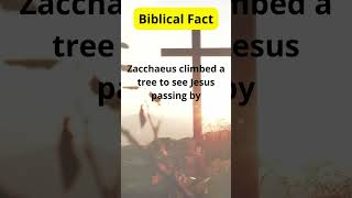 God Message Biblical Facts 82 god blessed bible facts reels shorts quotes biblefacts hope [upl. by Terrijo181]