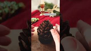 Chocoladedennenappels ‘chocolate pine cones’ recept  shorts  Allerhande [upl. by Salvadore]