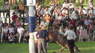 jineteada en conquistadores caballos jinete charreada jaripeo rodeoCowboy horse videos [upl. by Ennaitsirk]