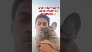 LIKE COMMENT ampSUBSCRIBE‼️ frenchie bulldog dogs puppy frenchbulldogpuppy frenchie [upl. by Isnan]