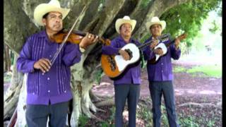 El apasionado  Camperos de Valles y los Leones de la sierra de Xichú sólo audio [upl. by Erek]