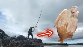 Remote Rock Fishing Shetlands far north  Flattie success [upl. by Adnolehs]