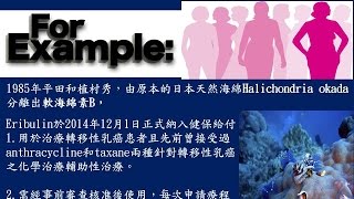 新穎乳癌化療藥物Eribulin Halaven賀樂維 的介紹及副作用處置 [upl. by Inoj]