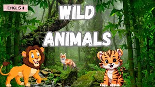 Wild Animals Learn Common Terms [upl. by Enak]