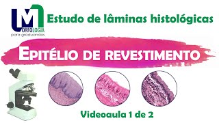 Epitélio de revestimento  Estudo de lâminas histológicas VIDEOAULA 0102 [upl. by Rowley]