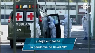 La pandemia terminó afirma virólogo alemán que Covid19 ya es endémico [upl. by Dorree646]