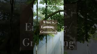 What is Earthing Groundingtimelessquotesunlimited earthing grounding [upl. by Erodaeht482]