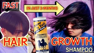 Fast hair growth shampoo mane and tail  hair grower  shampoo ng kabayo mabilis pampahaba ng buhok [upl. by Nordine]