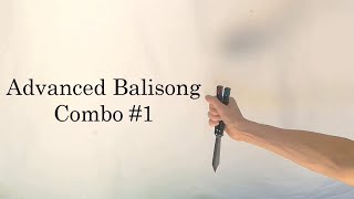 Advanced Balisong Combo 1 [upl. by Eirac83]