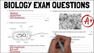 Biology PAST PAPER EXAM QUESTIONS Unit 1 Revision  A Grade  KS4 Science  IGCSE Biology [upl. by Etnahsal883]