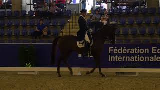 The Sydney CDI 2018  Matthew Dowsley and AEA Prestige 3rd in the Otto Sport Australia FEI GP CDI 3 [upl. by Gwendolen]