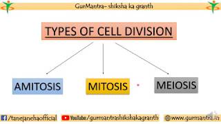 TYPES OF CELL DIVISION  AMITOSIS  MITOSIS  MEIOSIS [upl. by Titos]