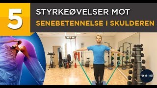 5 Styrkeøvelser mot Senebetennelse i Skulderen med strikk [upl. by Nauaj]