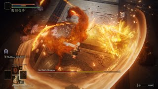 Elden Ring Moveset Mod Boss Fight Kill Red Wolf of Radagon in 1 hit 2nd [upl. by Stefan476]