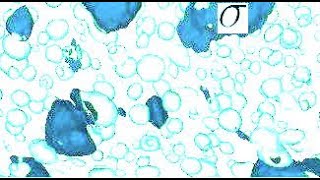 Sigmaphase in alloys of iron crystal and microstructure [upl. by Anawak]