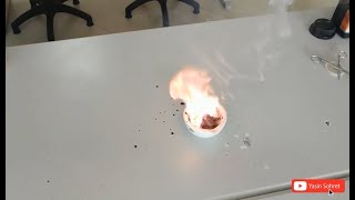 The Reaction of Glycerol and potassium permanganate [upl. by Silohcin468]