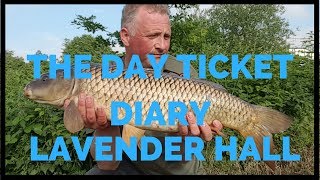 THE DAY TICKET DIARY LAVENDER HALL FISHERY CARP FISHING [upl. by Sirrep29]