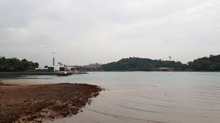 Labrador Nature Reserve  Bukit Chermin Boardwalk  Sandy Shore  March 2024 [upl. by Ahsiela]