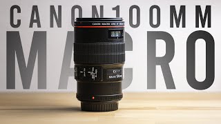 First GREAT Lens for Beginners  Canon EF 100mm f28 Macro L Lens [upl. by Yeldoow]