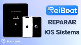 Tenorshare ReiBoot  Ferramenta de reparo do sistema iOS mundial NO1 Sem perda de dados [upl. by Eigger]