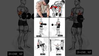 إجعل عضلات البايسبس كبيرة بهده التمارين الرائعة  biceps workout [upl. by Emee]