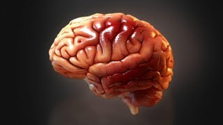 3D Brain Map Animation [upl. by Losyram]