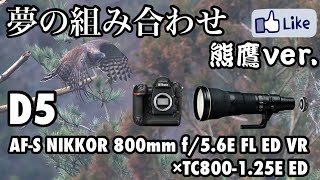 【夢の組み合わせ】D5×800mm f56E FL ED VR×TC800125E ED！クマタカver [upl. by Anawaj]