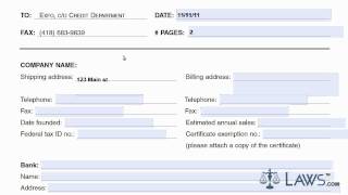 Learn How to Fill the Credit Application form [upl. by Staci811]