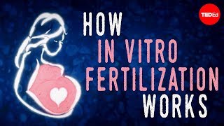 How in vitro fertilization IVF works  Nassim Assefi and Brian A Levine [upl. by Ellenij]