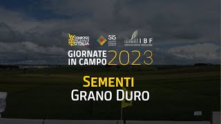 2023  Sementi  Grano Duro [upl. by Amargo]