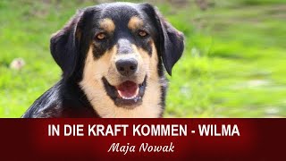 In die Kraft kommen  Wilma  von Maja Nowak  Teil 1 [upl. by Yetac]