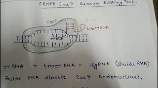 CRISPR Cas9 Gene editing system HDR NHEJ  Part 2 [upl. by Lian679]