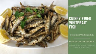 Crispy Fried Whitebait Fish Recipe  Easy Snack [upl. by Anelra]