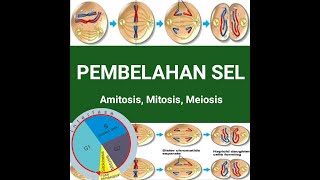 PEMBELAHAN SEL  Amitosis Mitosis Meiosis [upl. by Atiek]