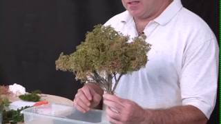 Making Sage Brush Trees [upl. by Bertine]