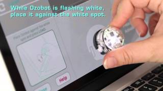 Learn to Code Getting started with OzoBlockly and Ozobot Bit robot [upl. by Sacks]