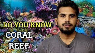 In Hindi What are Coral Reefs   Benefits of Coral Reef  Ecology UPSC IAS Exam  CJTalk [upl. by Atteval]