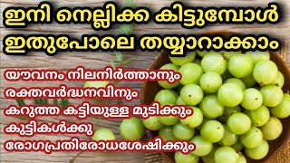 നെല്ലിക്കകൊണ്ട് ഇതുപോലെ തയ്യാറാക്കി ദിവസവും കഴിക്കൂസൗന്ദരത്തിനും ആരോഗ്യത്തിനുoGooseberry Healthy [upl. by Orion]