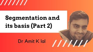 Segmentation and its basis Part 2  psychographic  Behavioral  Vals Framework [upl. by Calmas]