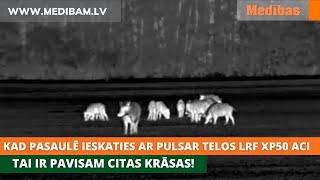 Kad pasaulē ieskaties ar Pulsar Telos LRF XP50 aci tai ir pavisam citas krāsas [upl. by Rimola]