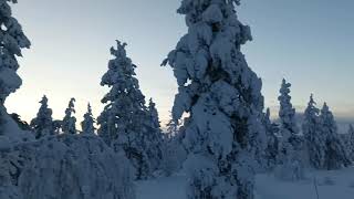 Saariselkä Lapland Kaunispään reitti 15012024 [upl. by Tomkins451]