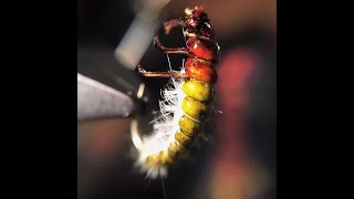 Tying the Hydropsyche Caddis Larvae by Ondrej Rusnak [upl. by Leinod]