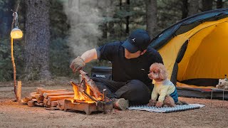 Solo Camping in Forest with My Dog  Roast leg of lamb in the Wild  Wood Stove ASMR [upl. by Justicz]