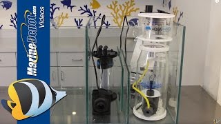 How to Build a Custom Sump for Your Reef Aquarium [upl. by Herta]